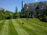 Lawn Maintenance