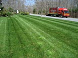 Lawn Maintenance