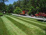 Lawn Maintenance