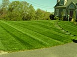 Lawn Maintenance